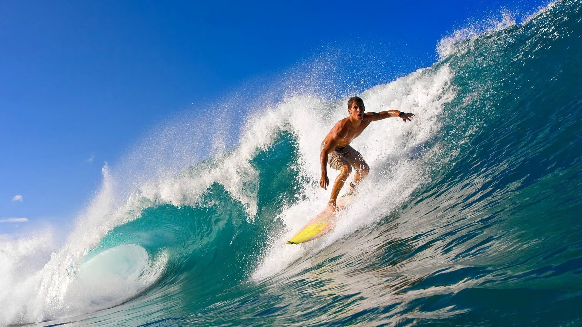 kering.com-_运动员家庭日：全民家庭共参与_，运动员家属有优待吗